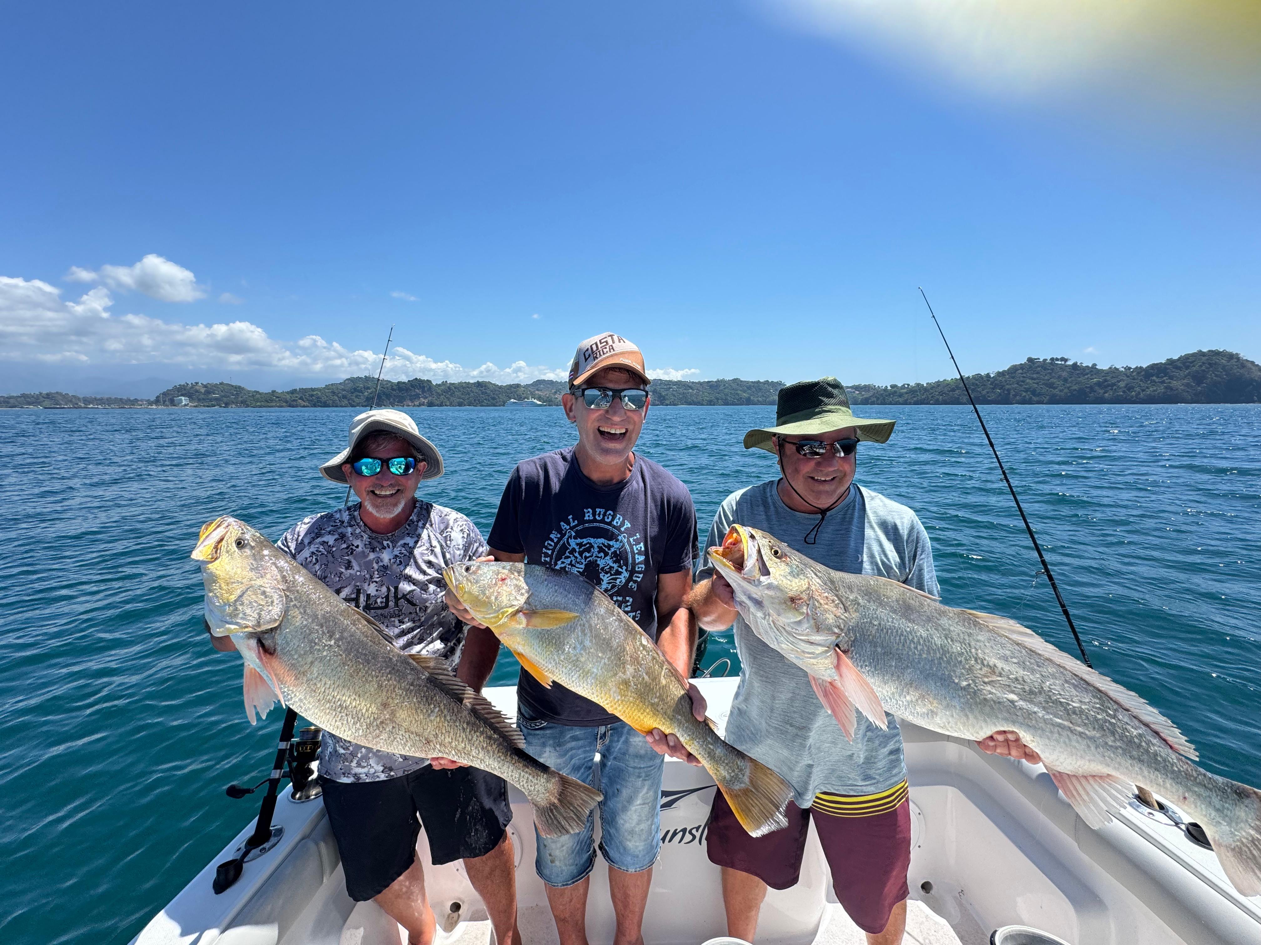 Triple Corvina
