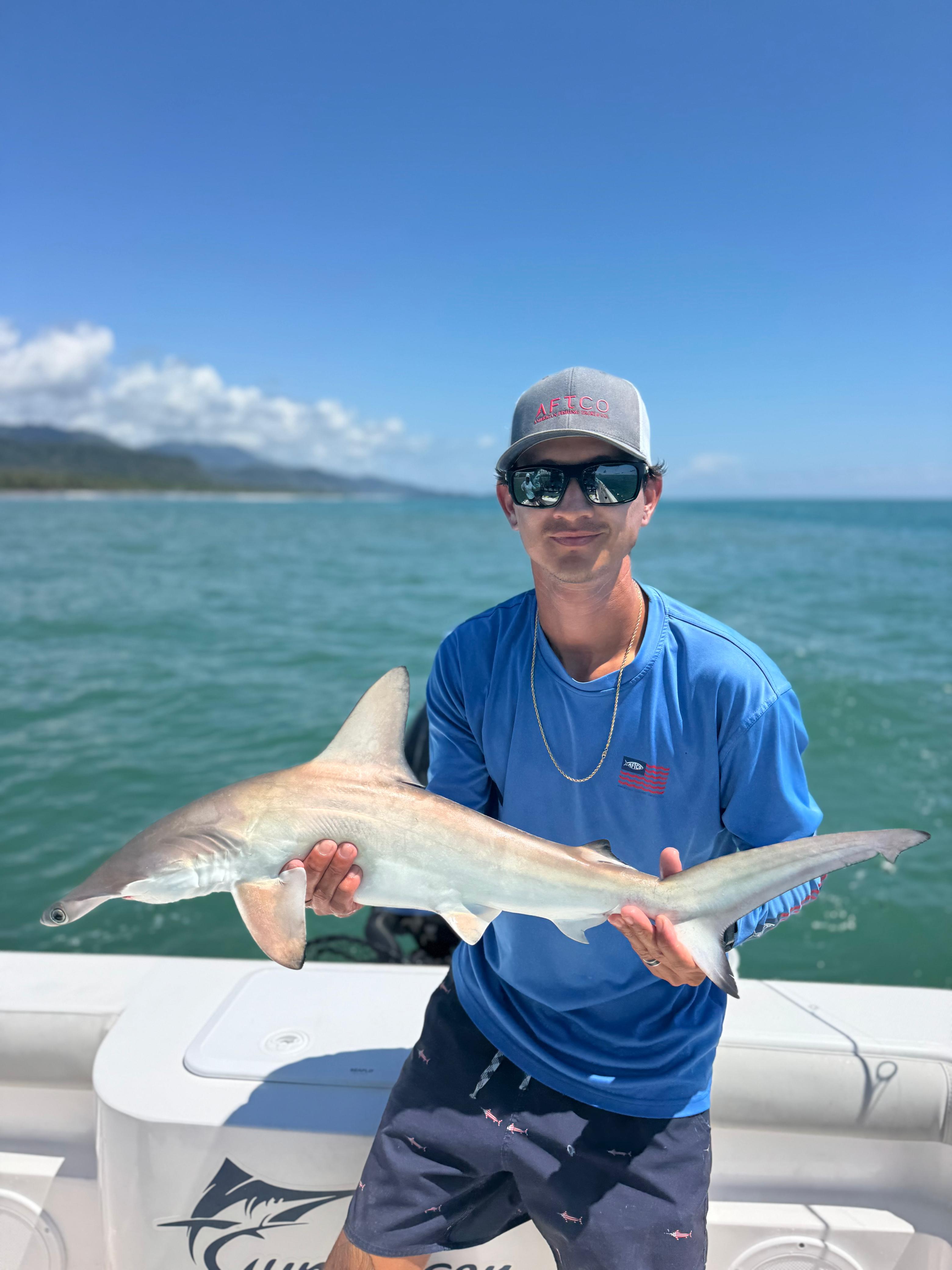 Hammerhead Shark